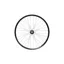 Hope Fortus 29in 30W Pro 5 6-Bolt Boost Rear Wheel in Black