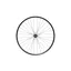 Hope  27.5 inch Fortus 23W Pro 5 100 x15mm Centre Lock Front Wheel in Black