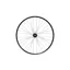 Hope 29ER Fortus 23W Pro 5 100 x 15 mm Front Wheel in Black 