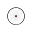 Hope 29ER Fortus 26W Pro 5 100 x 15 mm Front Wheel in Red 