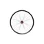 Hope 29ER Fortus 30W Pro 5 110mm Boost Front Wheel in Red 