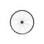 Hope 29ER Fortus 30W SC Pro 5 100 x 15 mm Front Wheel in Black 