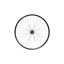 Hope 29ER Fortus 35W Pro 5 100 x 15 mm Front Wheel in Purple 