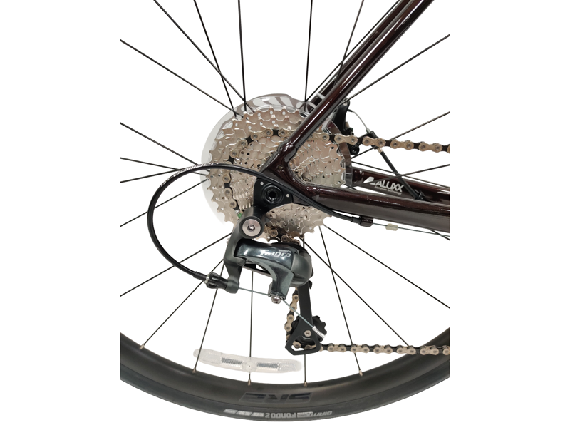 Giant Contend AR 2 Road Bike 2025 in Gloss Cordovan/Silver-4