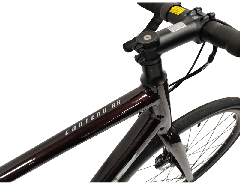 Giant Contend AR 2 Road Bike 2025 in Gloss Cordovan/Silver-9