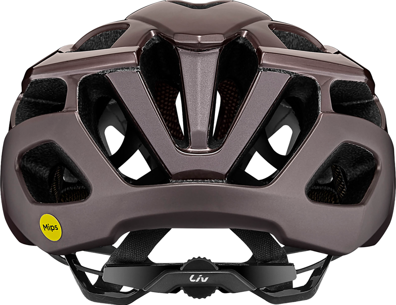 Liv Rev Elite MIPS Helmet in Gloss Orion Nebula-5