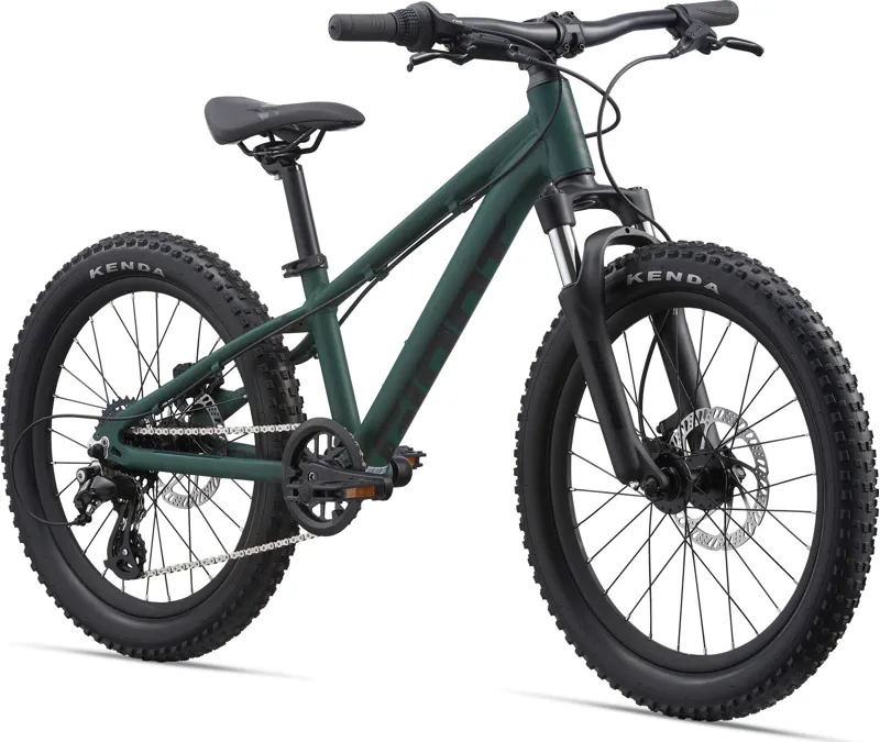Giant STP 20 Kids Bike 2023 in Trekking Green-1
