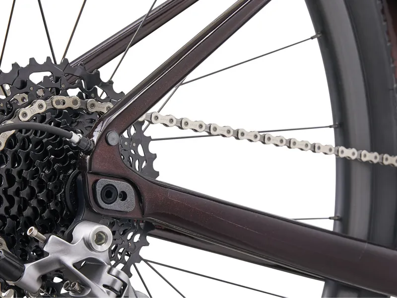 Giant Revolt Advanced 1 Rival Gravel Bike 2023 in Cordovan-4