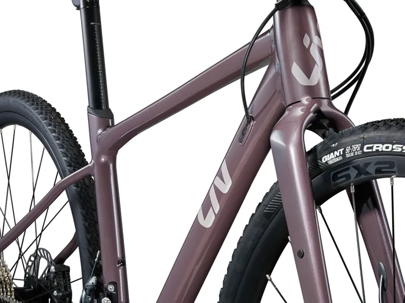 Liv Devote 1 Gravel Bike 2025 in Charcoal Plum-2