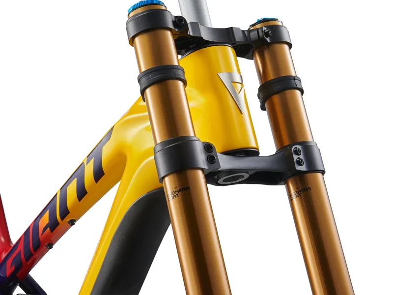 Giant Glory Advanced Full Suspension Mountain Bike Frameset 2025 in Legends Edition-4