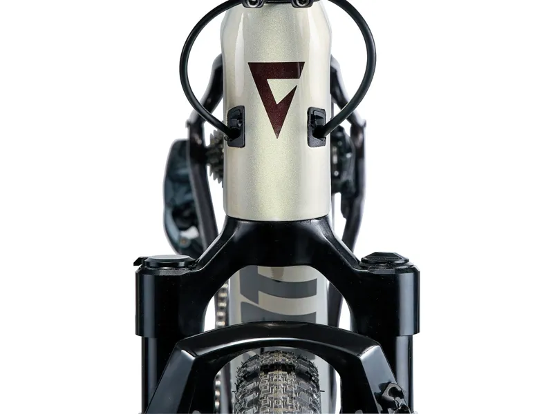 Giant Revolt X Advanced Pro 1 Gravel Bike 2025 in Golden Haze/Cordovan-5