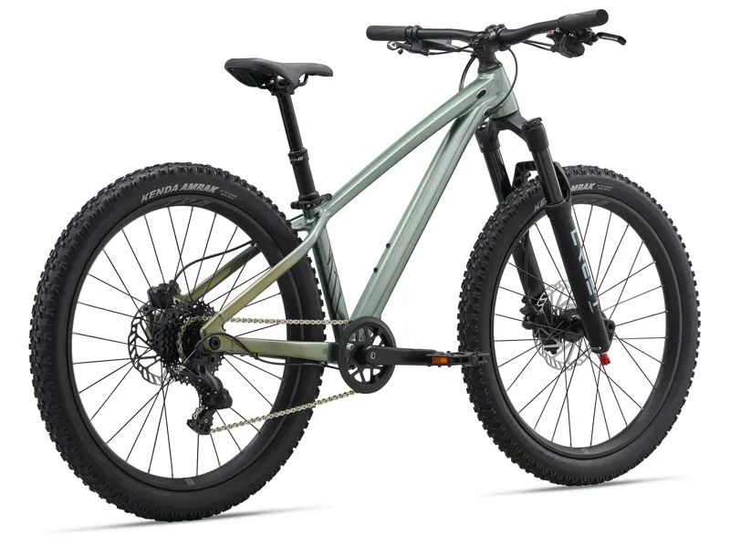 Liv STP 24 Kids Jump Bike 2026 in Alpine Green-1