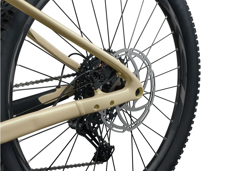 Liv Lurra E+ 1 29in Electric Hardtail Mountain Bike 2027 in Desert Pearl-4