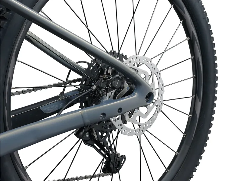 Liv Lurra E+ 2 29in Electric Hardtail Mountain Bike 2027 in Aurora Noise-2