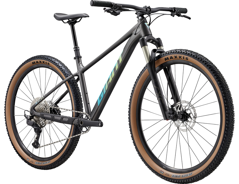 Giant Talon 0 Hardtail Mountain Bike 2027 in Stealth Chrome-1
