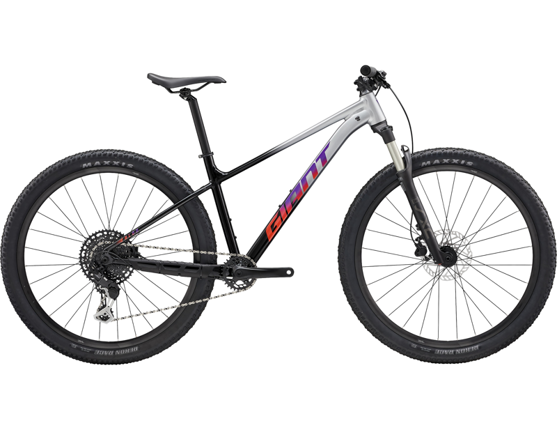 Giant Talon 1 Hardtail Mountain Bike 2027 in Silver/Black