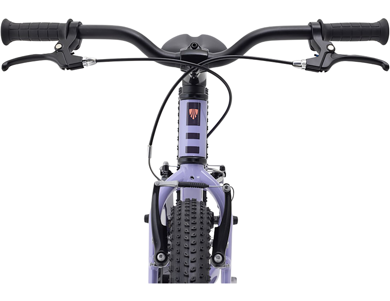 Trek Precaliber 20 inch Freewheel Kids Hybrid Bike 2027 in Lavender Haze-2