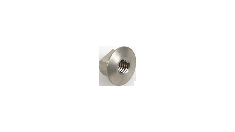 Specialized BLT CUSTOM DOWNTUBE PROTECTOR MOUNTING NUT M4X0.7PX4.5MM STEEL SILVER in Silver