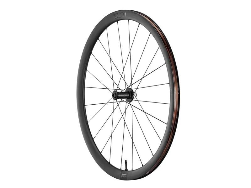 Giant SLR 1 36 Disc Brake Hookless Carbon Front Wheel-1