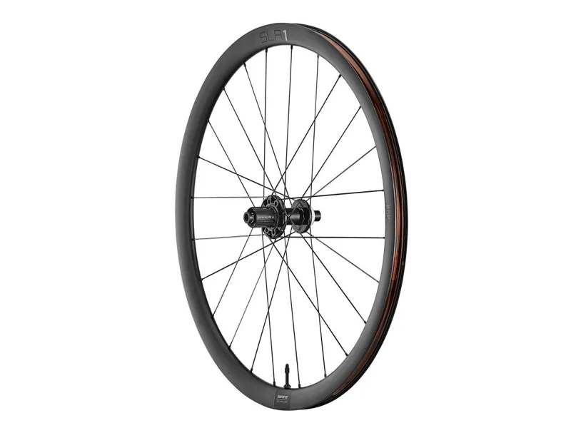 Giant SLR 1 36 Disc Brake Hookless Carbon Rear Wheel-1