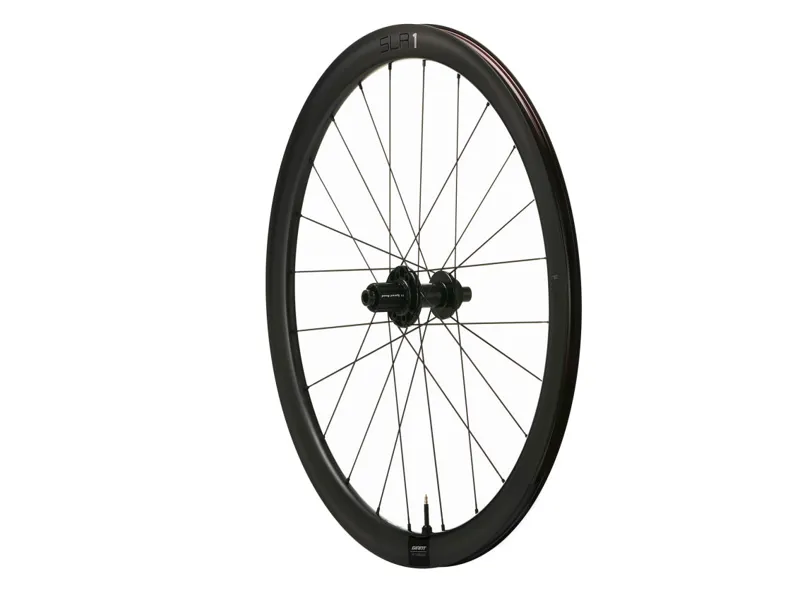 Giant SLR 1 42 Disc Brake Hookless Carbon Rear Wheel-1