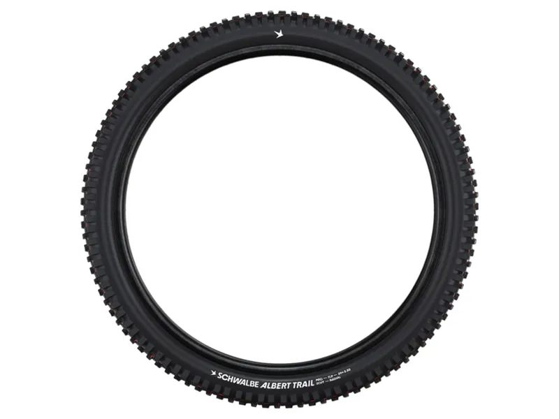 Schwalbe Albert Trail Pro 29 Downhill Tyre 29x2.50 in Black-1