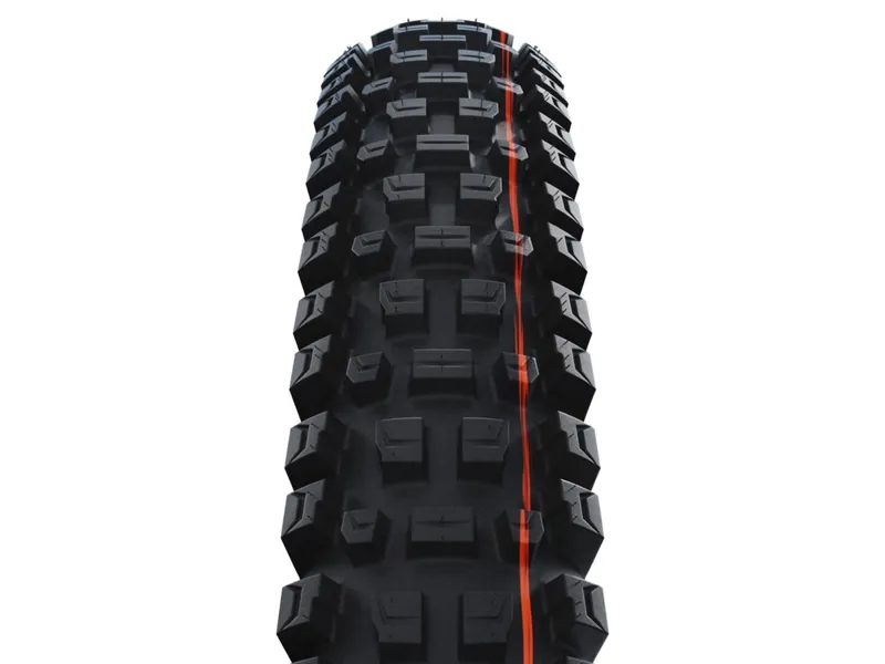 Schwalbe Albert Trail Pro 29 Downhill Tyre 29x2.50 in Black-2