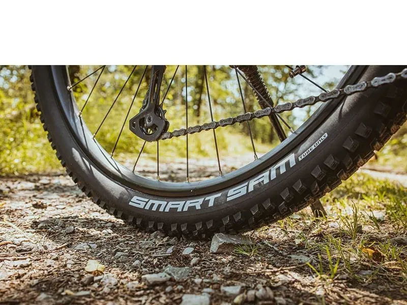 Schwalbe Smart Sam Performance Folding Tyre in Black-2