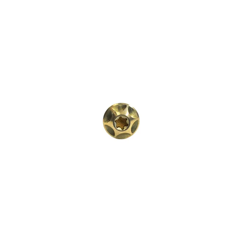 Silca Set of 4 Titanium Bolts in Gold
