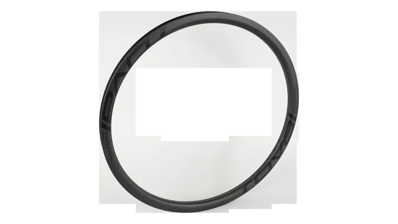 Specialized RIM MY17 CONTROL SL 29 FRONT CARBON 24H DISC 25MM INTERNAL - SATIN CARBON W/ BLACK DCL in Satin Carbon/Black