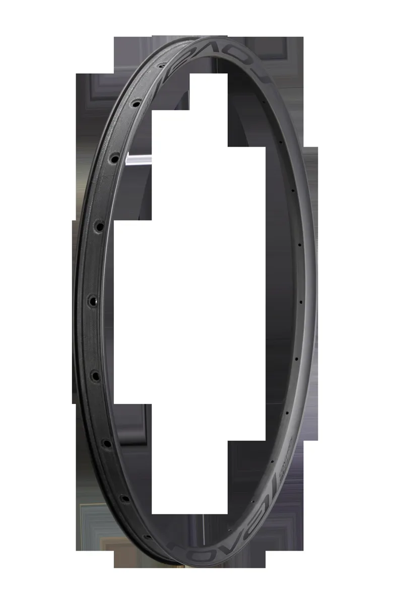 Specialized RIM MY21 CONTROL SL 29 FRONT and REAR CARBON 24H DISC 29MM INTERNAL WC031 - SATIN CARBON W/ BLACK DECAL in Satin Carbon/Black