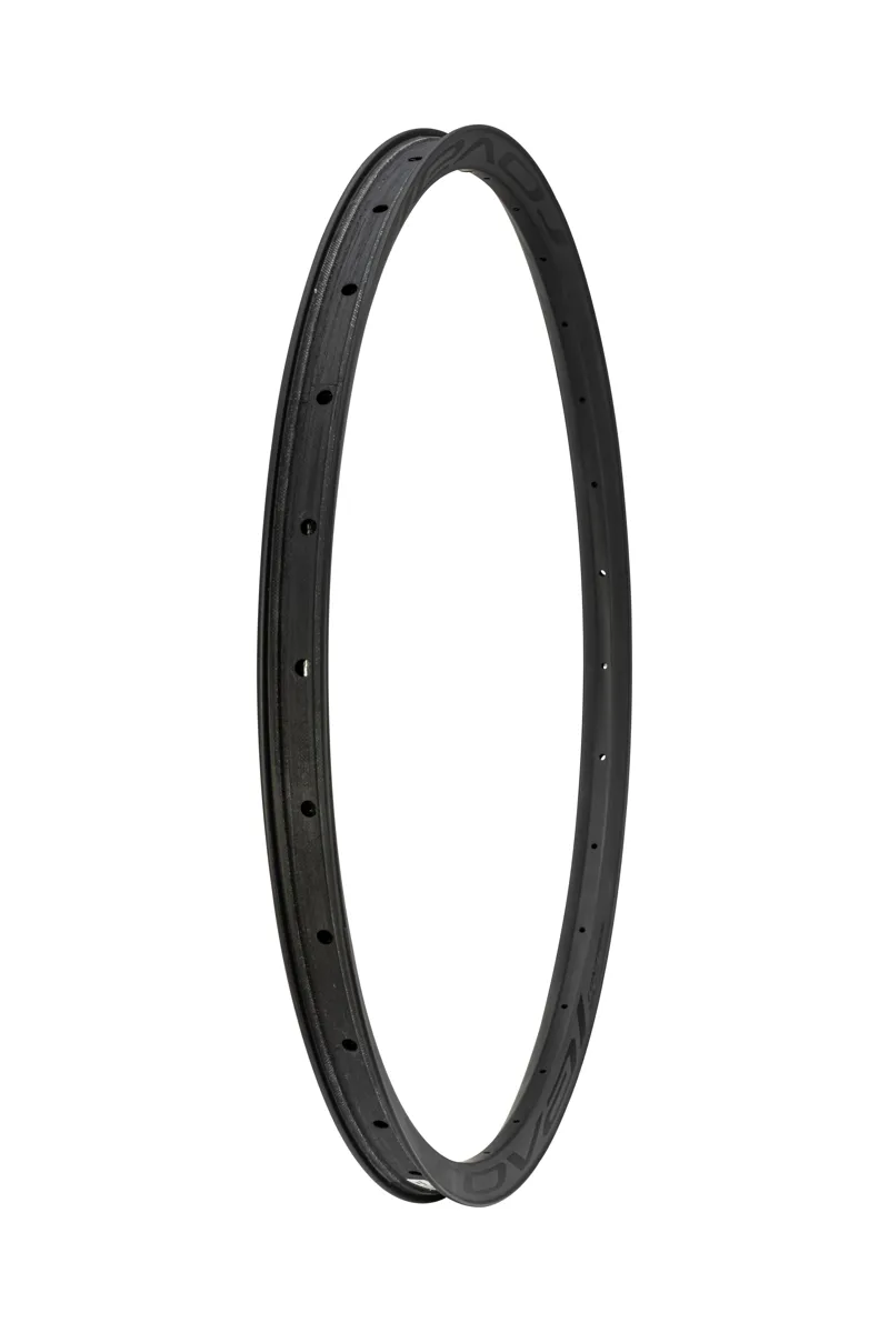 Specialized RIM MY21 CONTROL SL 29 REAR CARBON 28H DISC 29MM INTERNAL FOR RETROFIT in Satin Carbon/Black