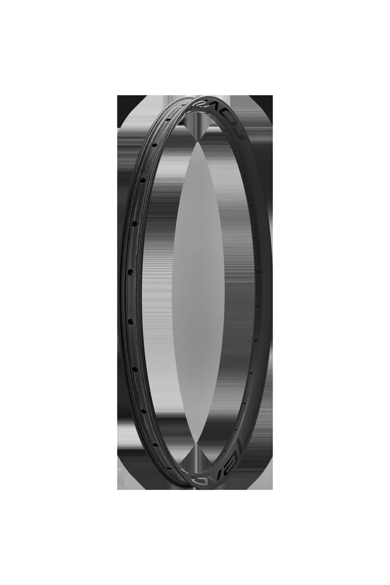 Specialized RIM MY26 CONTROL SL VI 29 REAR 28H DISC 29MM INTERNAL WC033-3 - SATIN CARBON W/ BLACK DCL in Satin Carbon/Black