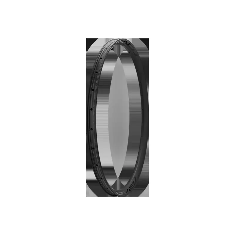 Balfes Bikes Specialized RIM MY26 CONTROL SL VI 29 REAR 28H DISC 29MM INTERNAL WC033-3 - SATIN CARBON W/ BLACK DCL in Satin Carbon/Black | Free postage over £30, £10 off first order, price match & 0% finance.