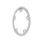 Surly Stainless Rings 5 Arm 35T 110BCD in Silver