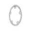 Surly Stainless Rings 5 Arm 130BCD 40T in Silver