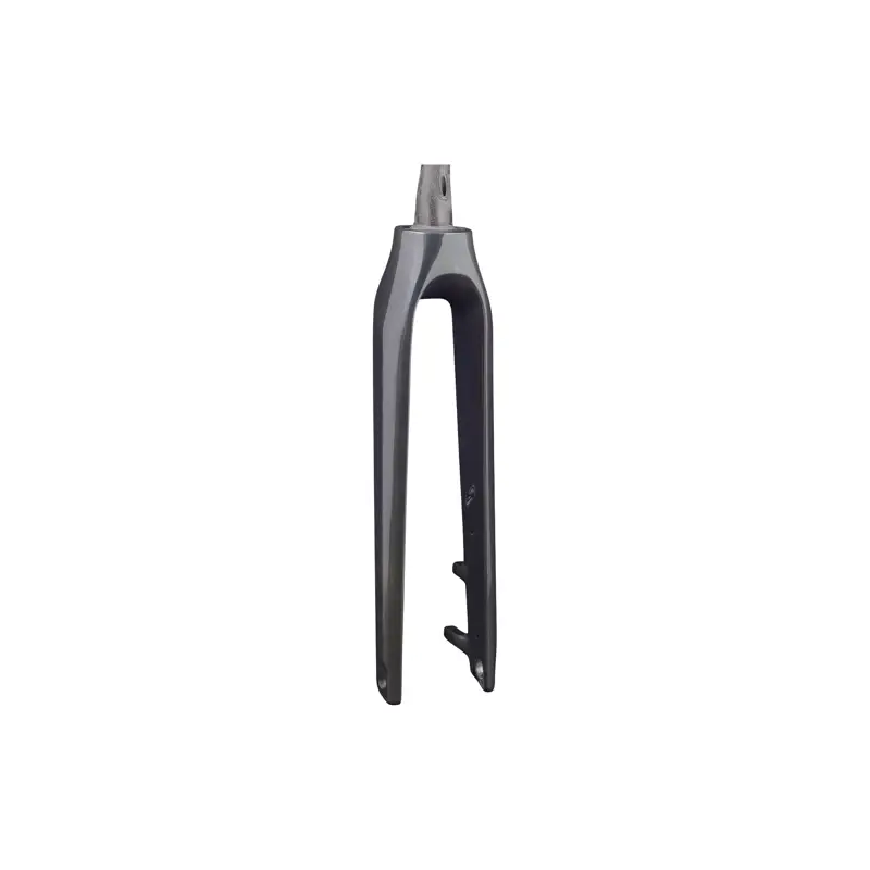 Balfes Bikes Trek-Diamant TREK-DIAMANT Trek 2020-2022 Allant+ 9.9 700c Rigid Fork in Dark Prismatic | Free postage over £30, £10 off first order, price match & 0% finance.