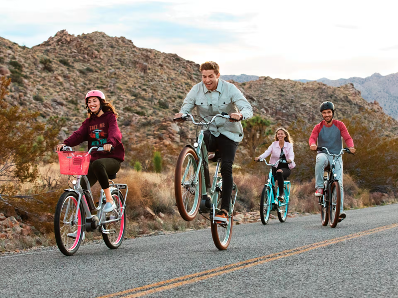 Electra Townie Go 5i Step Through Electric Hybrid Bike 2025 in Green Tea-1