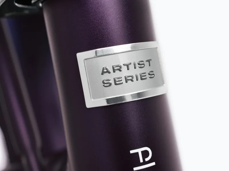 Electra Townie Go 5i Step Through Electric Hybrid Bike 2025 in Violet Fade-3