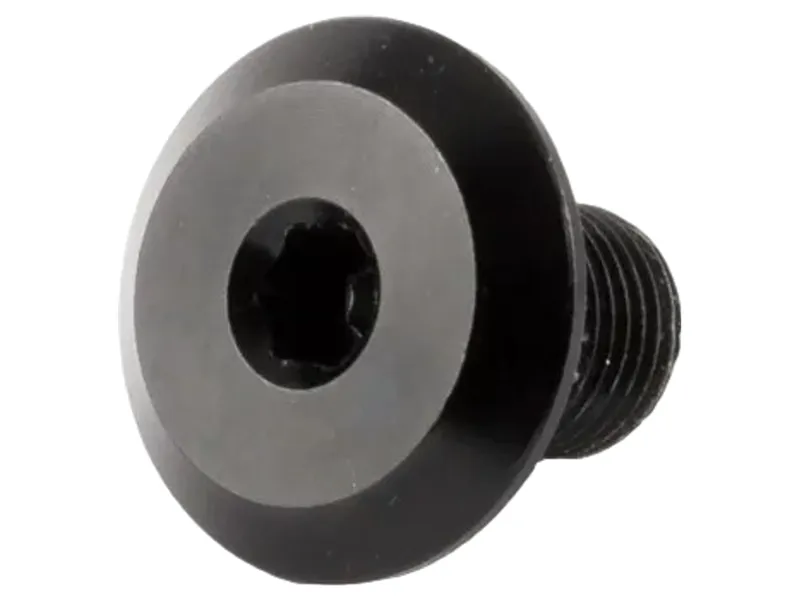 Transition TBC Seatstay Pivot Screw 12mm
