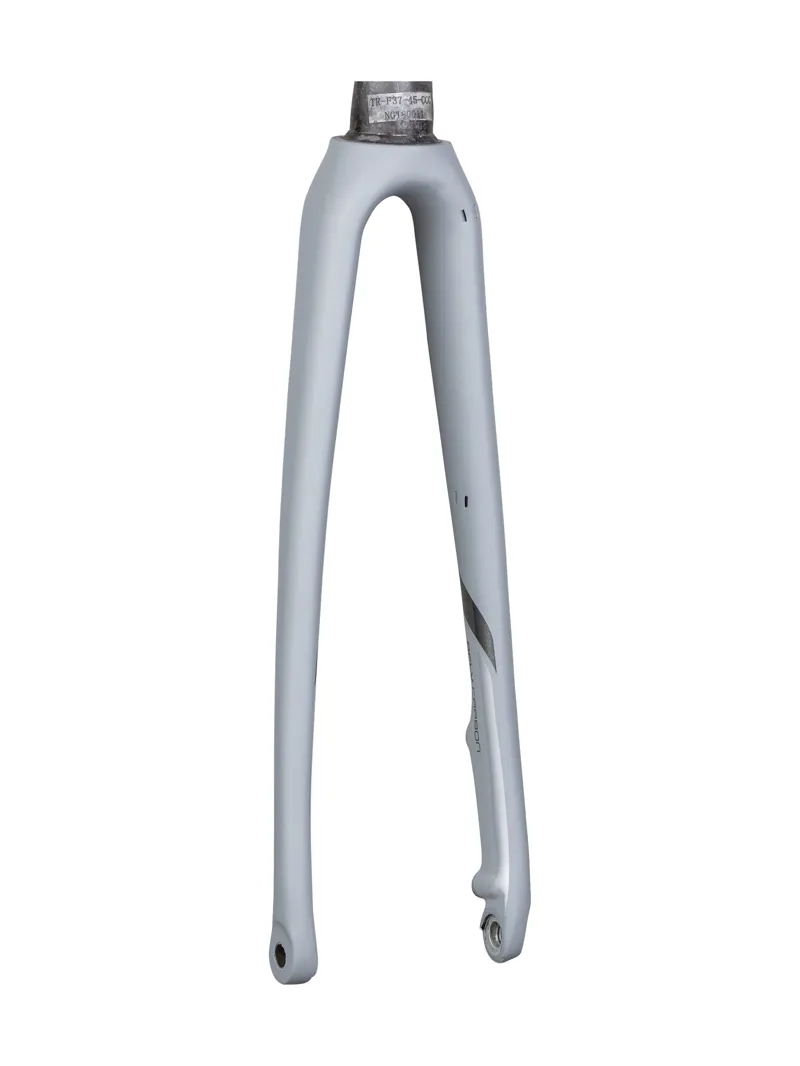 Balfes Bikes Trek 2019 Emonda ALR 700c Disc Rigid Fork in Gravel/Quicksilver | Free postage over £30, £10 off first order, price match & 0% finance.