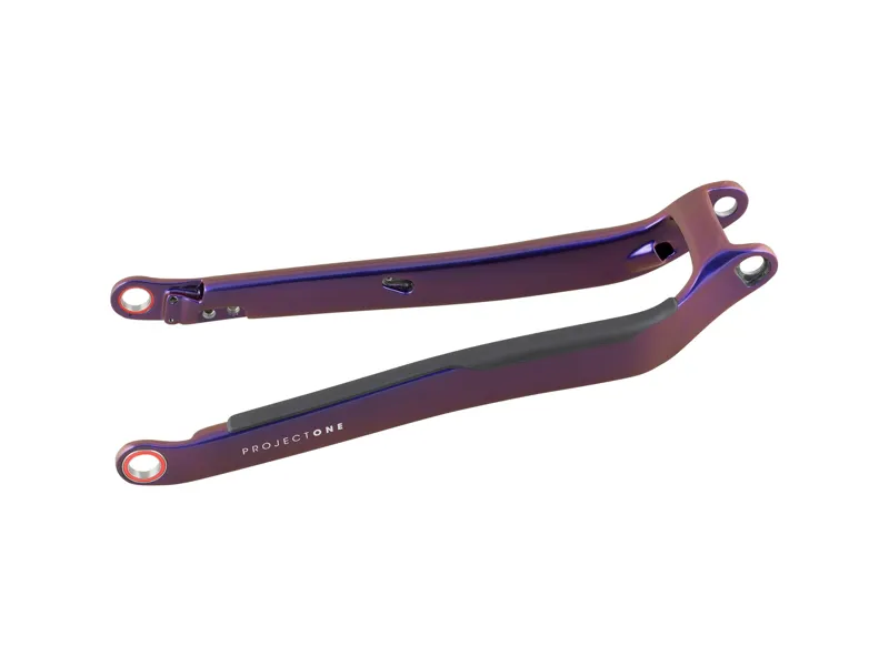 Balfes Bikes Trek 2020-2023 Rail 29 Carbon Chainstay in Purple Phaze | Free postage over £30, £10 off first order, price match & 0% finance.
