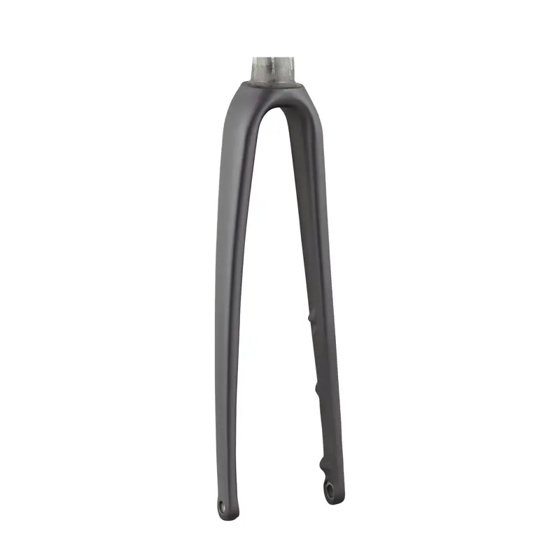 Balfes Bikes Trek 2020 Emonda ALR 4 700 c Forks in Trek Black | Free postage over £30, £10 off first order, price match & 0% finance.