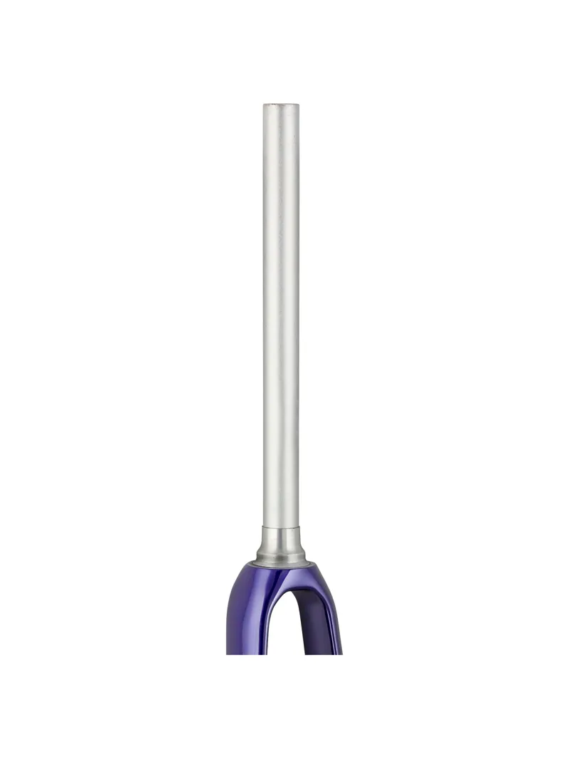 Trek 2021 Domane AL 2 700c Disc Rigid Fork in Purple Abyss/Trek Black-1