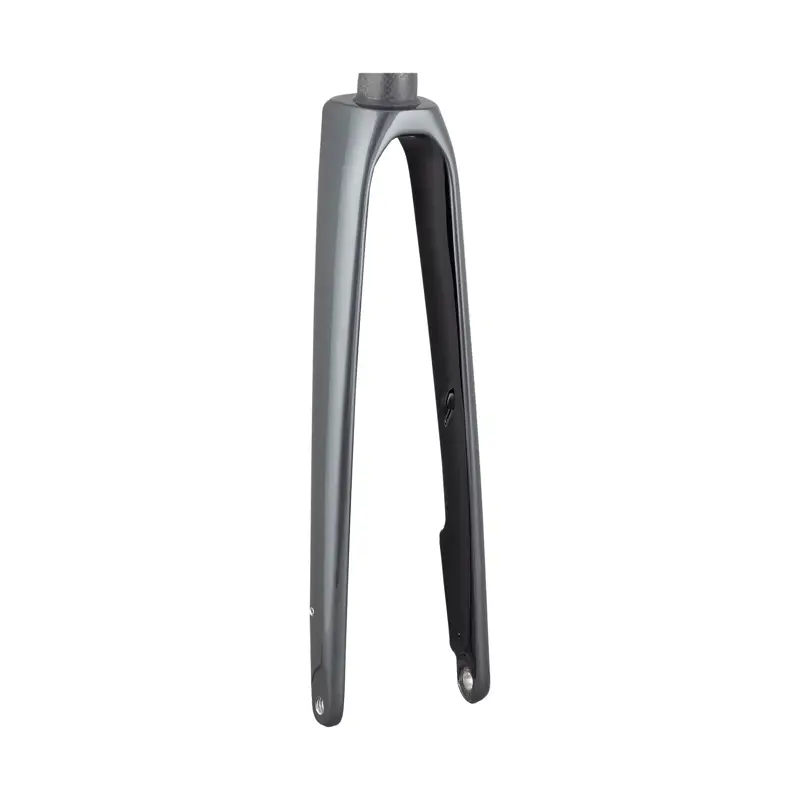 Balfes Bikes Trek 2021 Domane SLR 700c Rigid Fork in Lithium Grey/Trek Black | Free postage over £30, £10 off first order, price match & 0% finance.