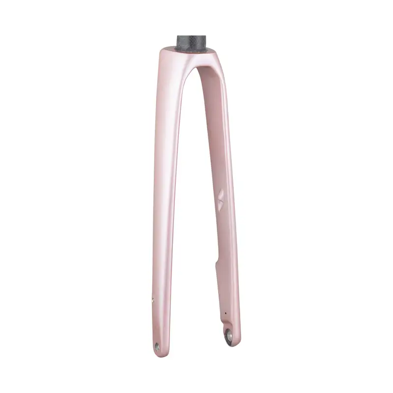 Balfes Bikes Trek 2021 Domane SLR 700c Rigid Fork in Rose Gold | Free postage over £30, £10 off first order, price match & 0% finance.