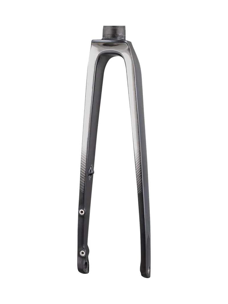 Trek 2021 Emonda SL 700c Rigid Fork in Lithium Grey/Onyx Carbon-2