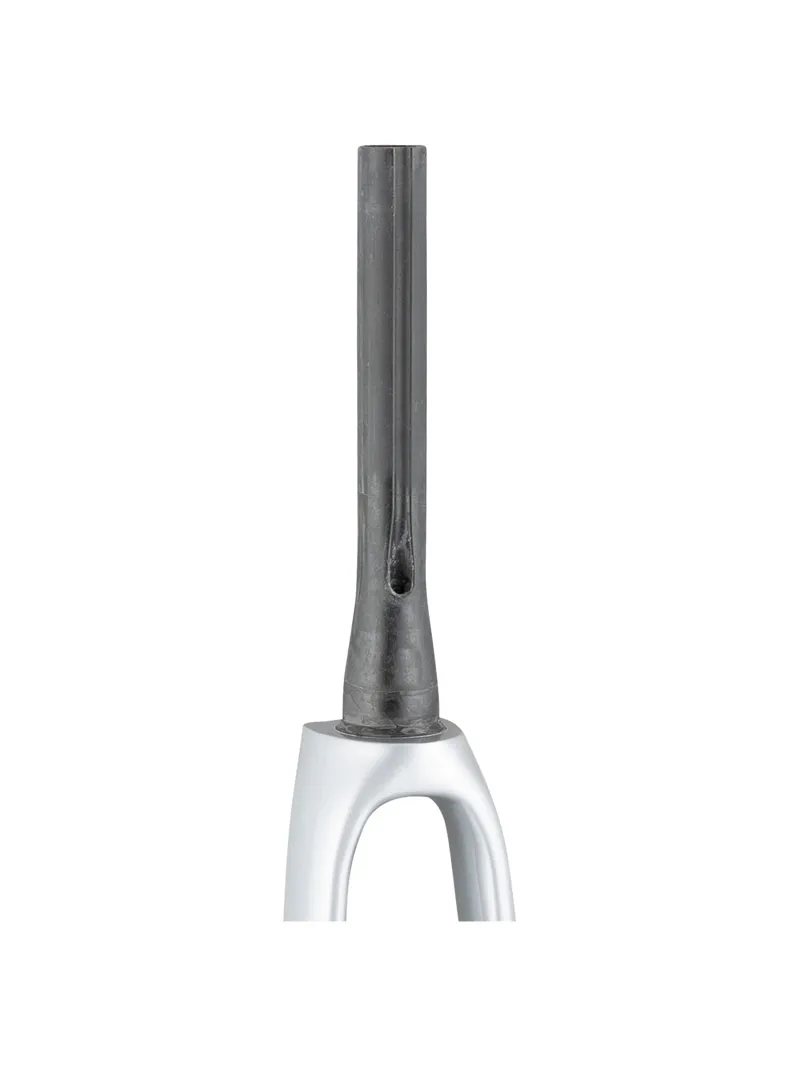 Trek 2021 Emonda SL 700c Rigid Fork in Quicksilver/Black-1