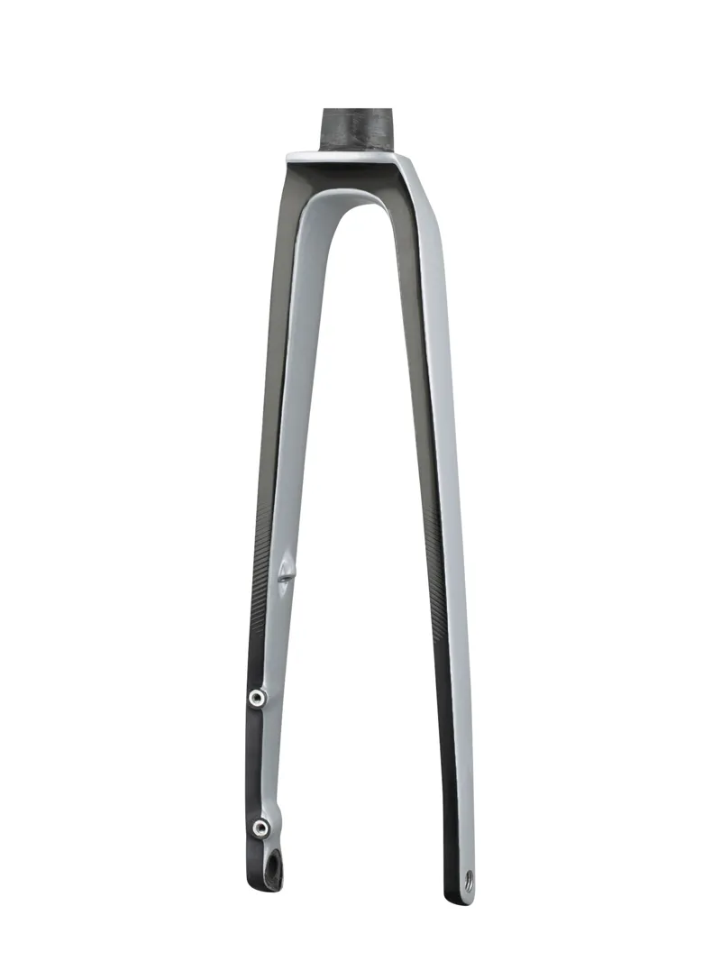Trek 2021 Emonda SL 700c Rigid Fork in Quicksilver/Black-2