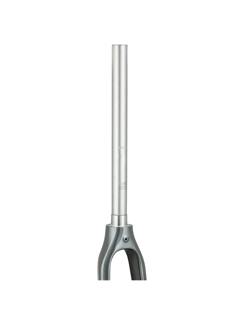 Trek 2021 FX 4 700c Disc Rigid Fork in Lithium Grey-1